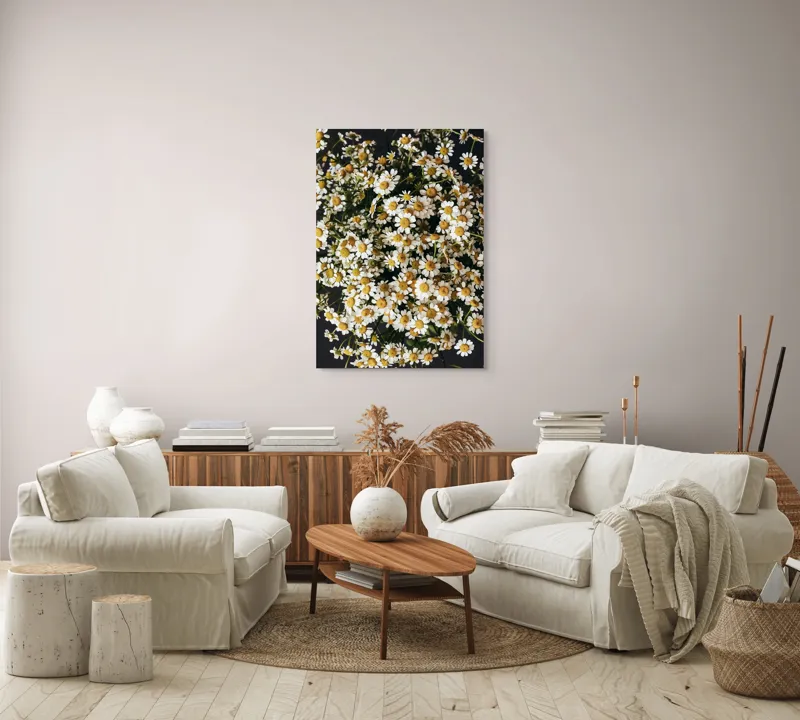 Tablou Canvas, "Câmp de margarete înflorite", Flori, Galbene, Albe, Naturale, Frumusețe, Petale, Vesele, Abundență, Contrast, Simplu, 70 x 100 cm – poza 4