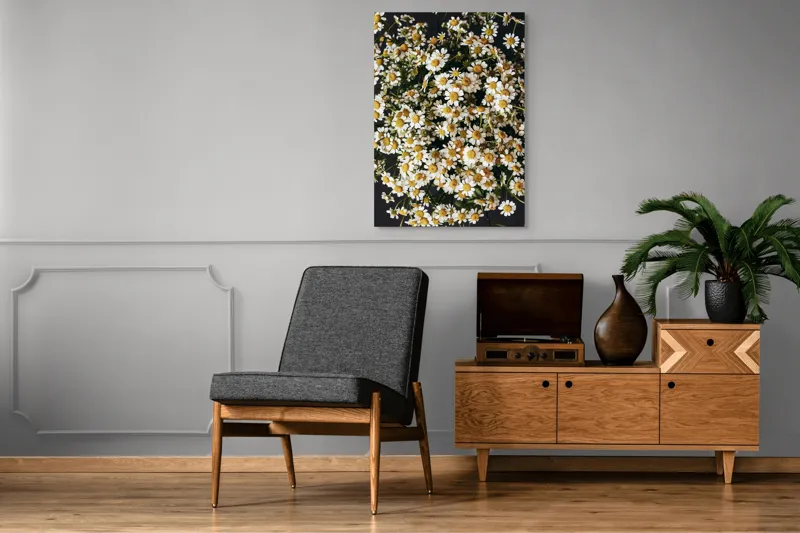 Tablou Canvas, "Câmp de margarete înflorite", Flori, Galbene, Albe, Naturale, Frumusețe, Petale, Vesele, Abundență, Contrast, Simplu, 70 x 100 cm – poza 6