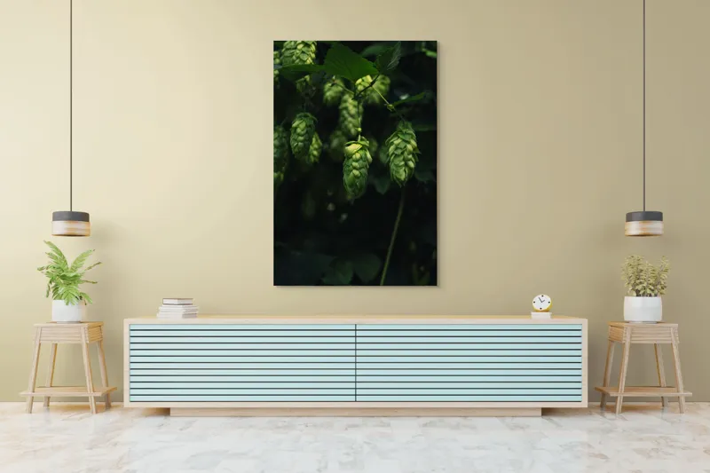 Tablou Canvas, "Conuri de hamei în lumina dimineții", Conuri, Verde, Frunze, Lumină, Umbre, Natura, 100 x 150 cm – poza 4