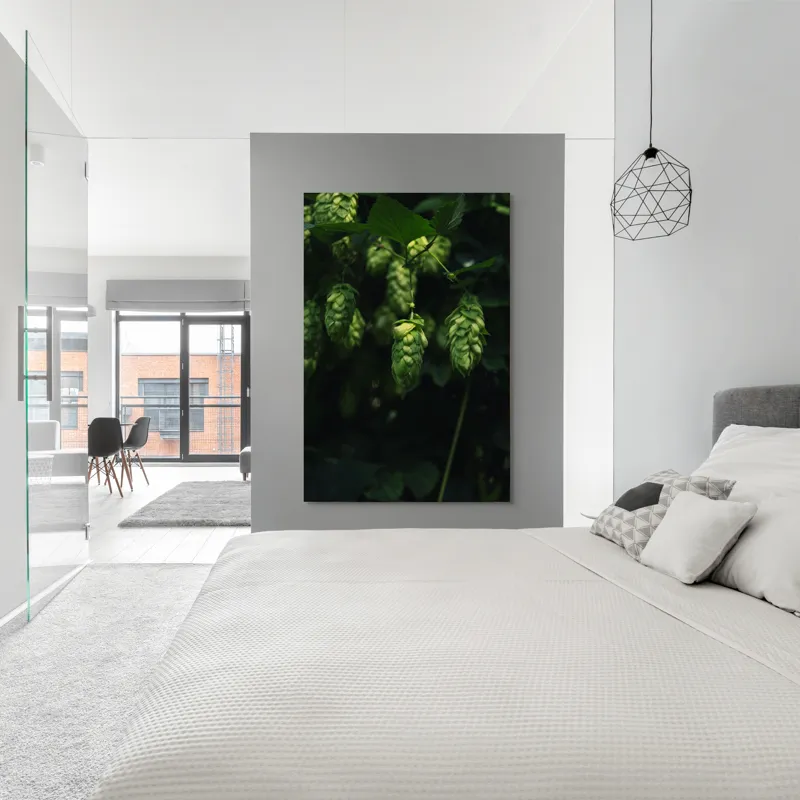 Tablou Canvas, "Conuri de hamei în lumina dimineții", Conuri, Verde, Frunze, Lumină, Umbre, Natura, 100 x 150 cm – poza 5