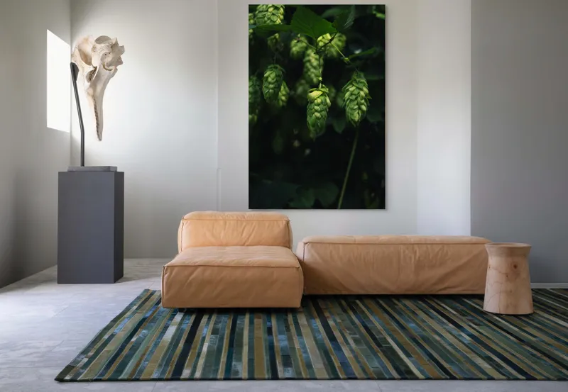Tablou Canvas, "Conuri de hamei în lumina dimineții", Conuri, Verde, Frunze, Lumină, Umbre, Natura, 100 x 150 cm – poza 7