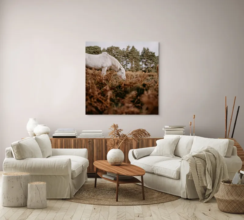 Tablou Canvas, "Cai în pădurea de ferigi toamna", Cal, Pădure, Iarbă, Cer, Copaci, Natură, Liniște, Frunziș, 100 x 100 cm – poza 3