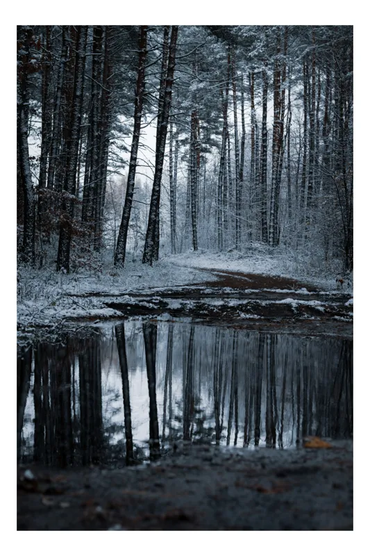 Tablou Canvas, "Reflecții în pădurea de iarnă", Pădure, Iarnă, Reflecție, Nori, Tranquilitate, Drum, Zăpadă, Copaci, Peisaj, Liniște, 100 x 100 cm