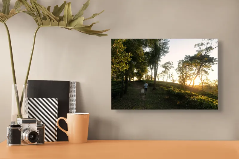 Tablou Canvas, "Apus liniștit în pădurea verii", Apus, Lumină, Natură, Pădure, Cărare, Plimbare, Verdeață, Serenitate, Siluetă, Copaci, 39 x 26 cm – poza 3