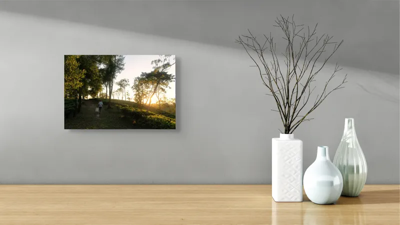 Tablou Canvas, "Apus liniștit în pădurea verii", Apus, Lumină, Natură, Pădure, Cărare, Plimbare, Verdeață, Serenitate, Siluetă, Copaci, 39 x 26 cm – poza 8
