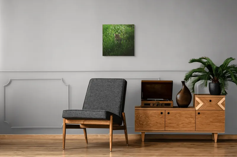 Tablou Canvas, "Pisica ascunsă în iarbă verde", Nu pot să identific cine este în imagine., 50 x 50 cm – poza 6