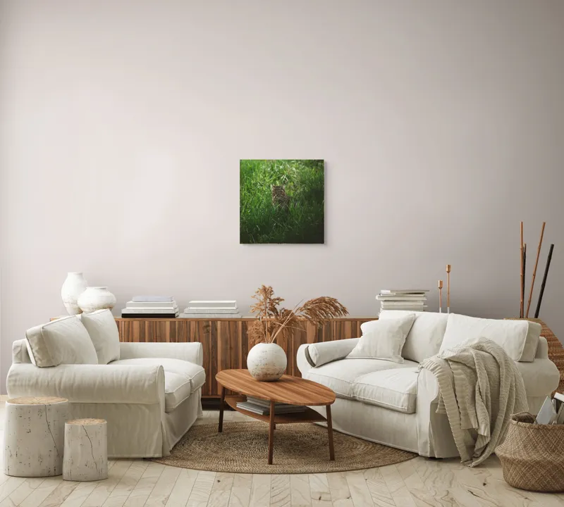 Tablou Canvas, "Pisica ascunsă în iarbă verde", Nu pot să identific cine este în imagine., 50 x 50 cm – poza 7