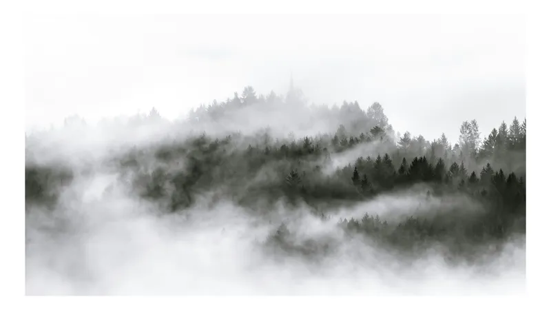 Tablou Canvas, "Ceață misterioasă peste pădurea adormită", Cețuri, Pădure, Munte, Mister, Liniște, Arbori, Vârtej, Umbre, Calm, Ceață, 54 x 39 cm