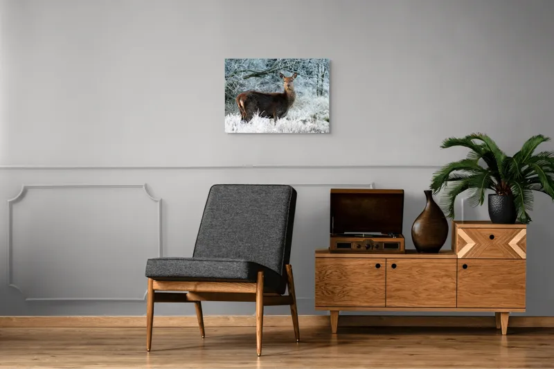 Tablou Canvas, "Cerbul în peisaj de iarnă înghețată", Cerb, Iarnă, Zăpadă, Pădure, Îngheț, Natură, Frumusețe, Serenitate, Peisaj, Sălbaticie, 70 x 50 cm – poza 4