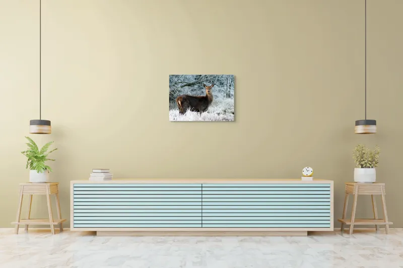Tablou Canvas, "Cerbul în peisaj de iarnă înghețată", Cerb, Iarnă, Zăpadă, Pădure, Îngheț, Natură, Frumusețe, Serenitate, Peisaj, Sălbaticie, 70 x 50 cm – poza 7
