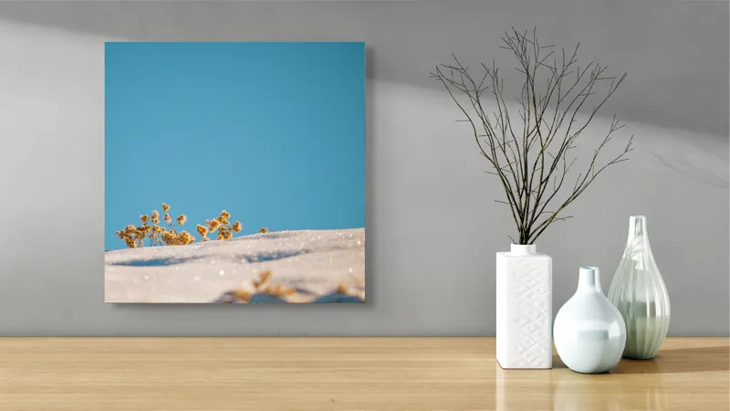 Tablou Canvas, "Flori de iarnă sub cer senin", Flori, Zăpadă, Cer, Albastru, Contrast, Lumină, Claritate, Natură, Îngheț, 50 x 50 cm – poza 3