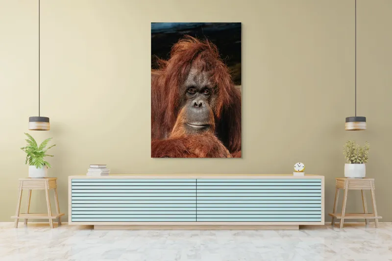Tablou Canvas, "Portretul unui gânditor blajin", 100 x 150 cm – poza 4