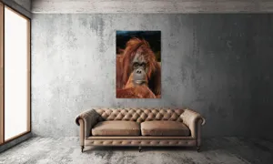 Tablou Canvas, "Portretul unui gânditor blajin", 100 x 150 cm – poza 6