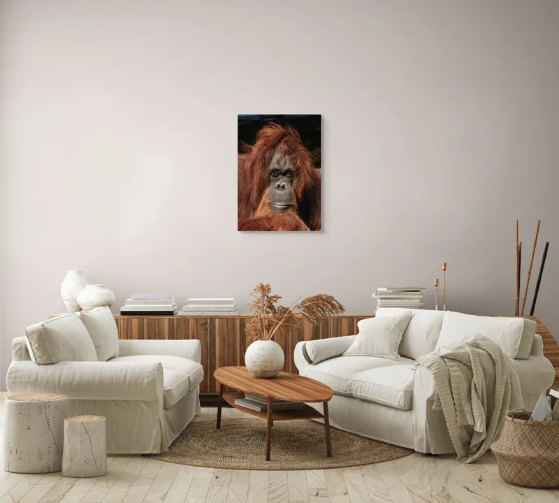 Tablou Canvas, "Portretul unui gânditor blajin", 50 x 70 cm – poza 4