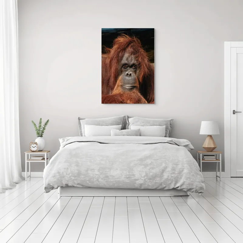 Tablou Canvas, "Portretul unui gânditor blajin", 70 x 100 cm – poza 3