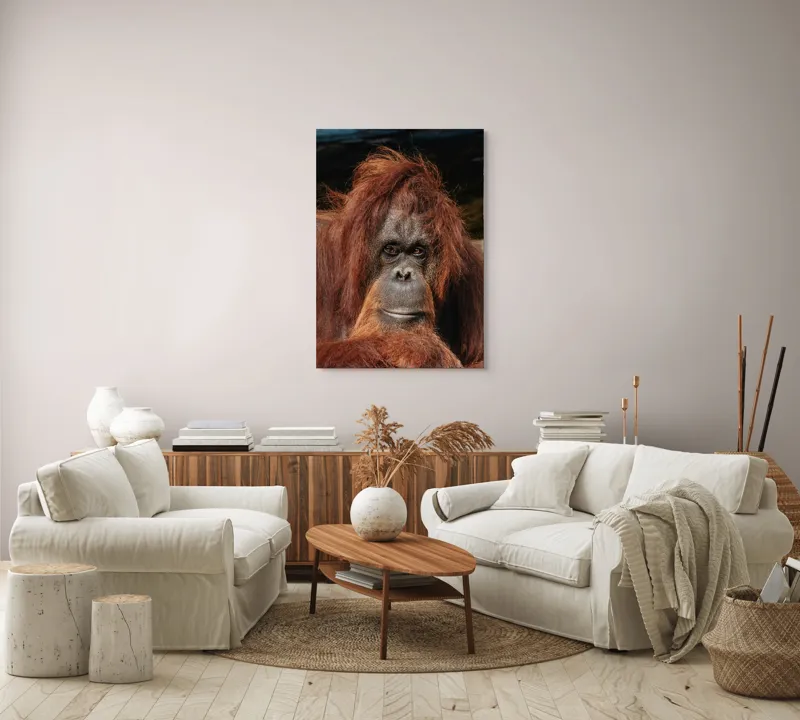 Tablou Canvas, "Portretul unui gânditor blajin", 70 x 100 cm – poza 4