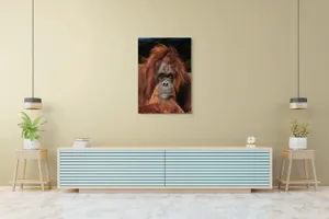 Tablou Canvas, "Portretul unui gânditor blajin", 70 x 100 cm – poza 5