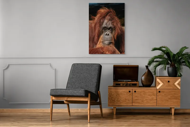 Tablou Canvas, "Portretul unui gânditor blajin", 70 x 100 cm – poza 6