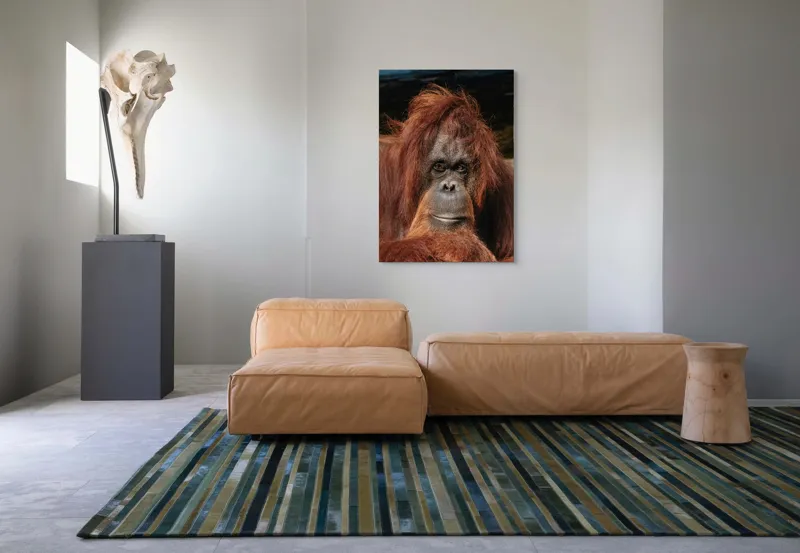 Tablou Canvas, "Portretul unui gânditor blajin", 70 x 100 cm – poza 7