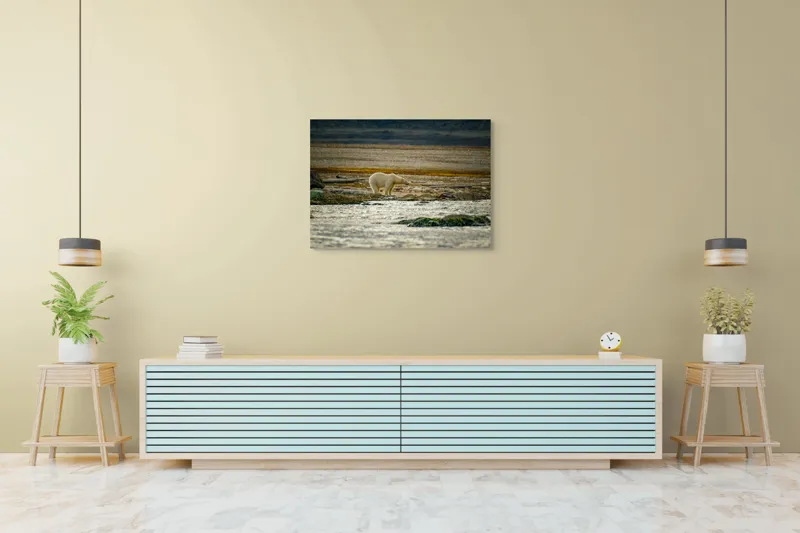 Tablou Canvas, "Urs polar pe țărm nordic stâncos", Urs, Gheață, Peisaj, Singurătate, Natură, Polar, Apă, Pământ, Contrast, Supraviețuire, 100 x 70 cm – poza 4