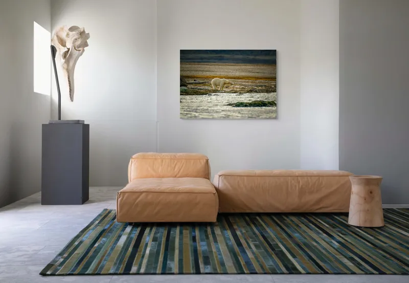 Tablou Canvas, "Urs polar pe țărm nordic stâncos", Urs, Gheață, Peisaj, Singurătate, Natură, Polar, Apă, Pământ, Contrast, Supraviețuire, 100 x 70 cm – poza 7