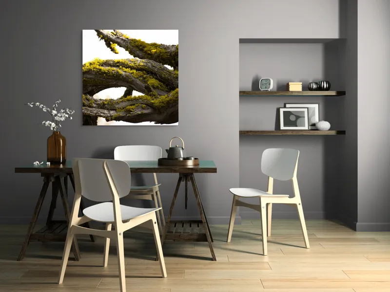 Tablou Canvas, "Crengile bătrânului copac cu mușchi", Mușchi, Arbore, Textură, Veștejit, Natură, Verde, Crengi, Lumină., 100 x 100 cm – poza 6