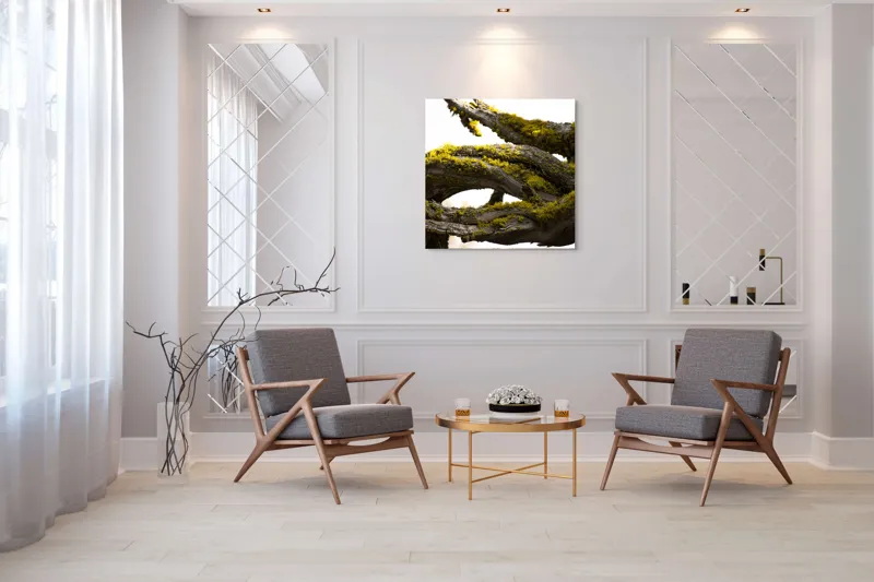 Tablou Canvas, "Crengile bătrânului copac cu mușchi", Mușchi, Arbore, Textură, Veștejit, Natură, Verde, Crengi, Lumină., 100 x 100 cm – poza 7