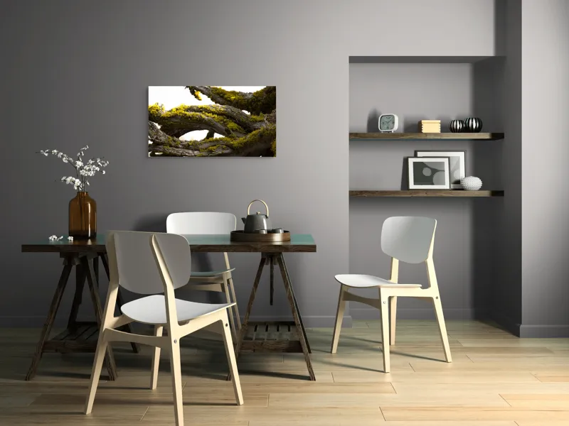 Tablou Canvas, "Crengile bătrânului copac cu mușchi", Mușchi, Arbore, Textură, Veștejit, Natură, Verde, Crengi, Lumină., 90 x 50 cm – poza 3