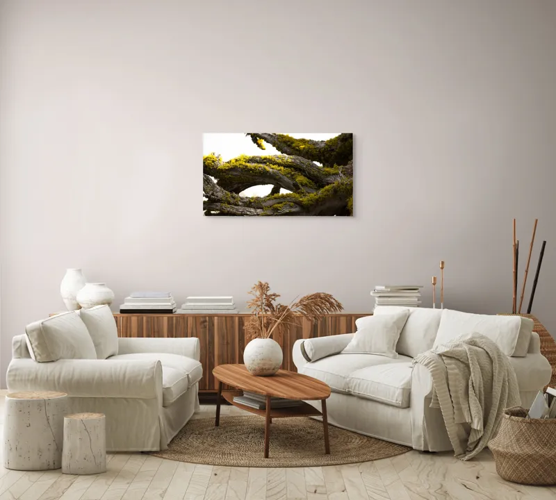 Tablou Canvas, "Crengile bătrânului copac cu mușchi", Mușchi, Arbore, Textură, Veștejit, Natură, Verde, Crengi, Lumină., 90 x 50 cm – poza 4