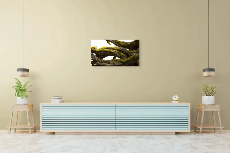 Tablou Canvas, "Crengile bătrânului copac cu mușchi", Mușchi, Arbore, Textură, Veștejit, Natură, Verde, Crengi, Lumină., 90 x 50 cm – poza 5