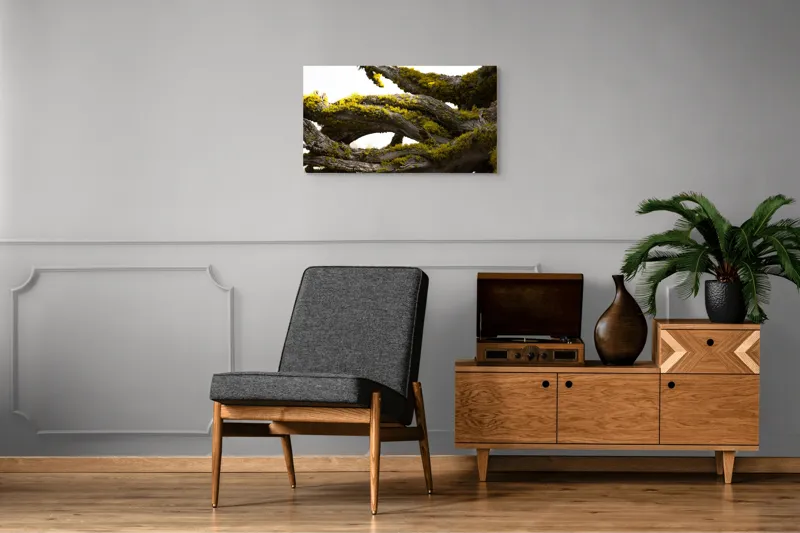 Tablou Canvas, "Crengile bătrânului copac cu mușchi", Mușchi, Arbore, Textură, Veștejit, Natură, Verde, Crengi, Lumină., 90 x 50 cm – poza 6