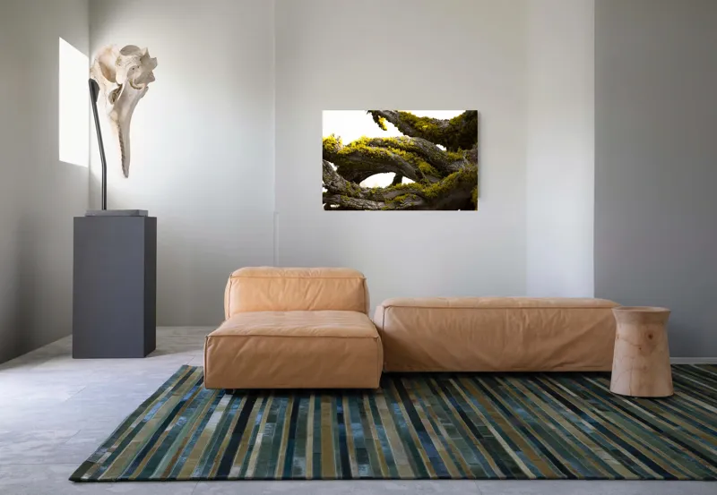 Tablou Canvas, "Crengile bătrânului copac cu mușchi", Mușchi, Arbore, Textură, Veștejit, Natură, Verde, Crengi, Lumină., 90 x 50 cm – poza 8