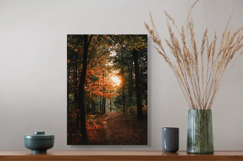 Tablou Canvas, "Lumină de apus în pădurea misterioasă", Pădure, Apus, Lumină, Toamnă, Frunze, Cale, Mister, Natură, 39 x 54 cm – poza 3