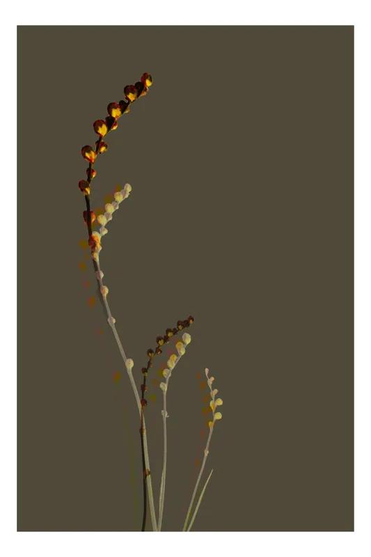 Tablou Canvas, "Frumusețea discretă a naturii toamnei", Frunze, Ramuri, Umbră, Minimalism, Natură, Eleganță, Simplitate, Armonie, 100 x 150 cm