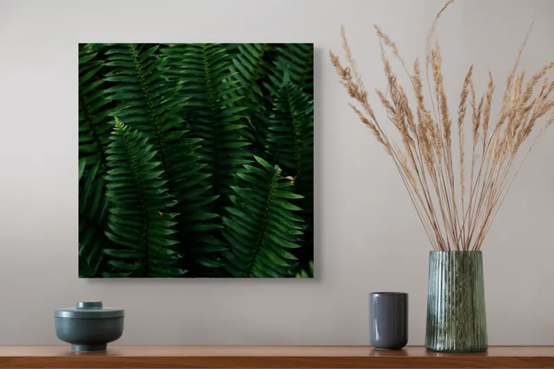 Tablou Canvas, "Frunzele verzi ale naturii ascunse", Frunze, Verde, Natură, Luxuriant, Linii, Textură, Frăgezime, Vegetație, Umbră, 50 x 50 cm – poza 4
