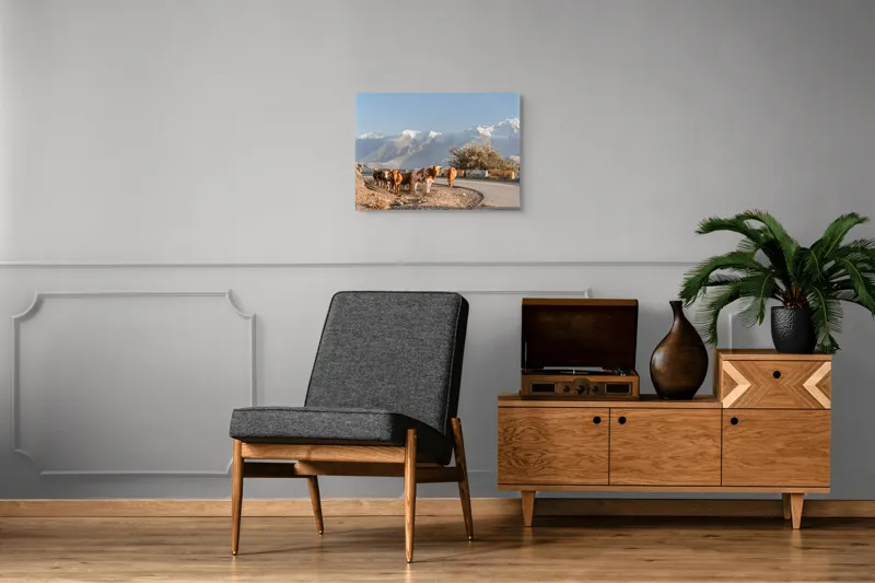 Tablou Canvas, "Vacile drumețe pe șosea montană", Vacile, Drum, Munte, Zăpadă, Cer, Peisaj, Culoare, Copaci, 70 x 50 cm – poza 4