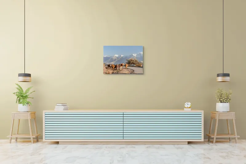 Tablou Canvas, "Vacile drumețe pe șosea montană", Vacile, Drum, Munte, Zăpadă, Cer, Peisaj, Culoare, Copaci, 70 x 50 cm – poza 7