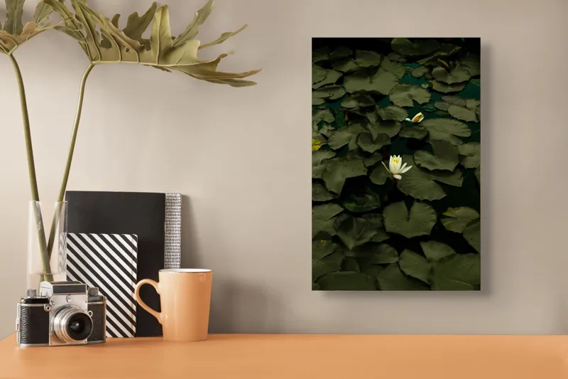 Tablou Canvas, "Floare de lotus în amurg liniștit", Frumusețe, Tranquilitate, Contrast, Natură, Serinitate, Liniște, 26 x 39 cm – poza 3
