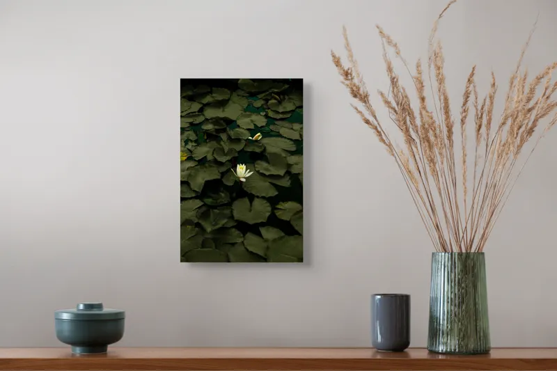 Tablou Canvas, "Floare de lotus în amurg liniștit", Frumusețe, Tranquilitate, Contrast, Natură, Serinitate, Liniște, 26 x 39 cm – poza 5