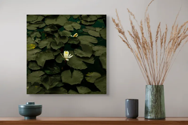 Tablou Canvas, "Floare de lotus în amurg liniștit", Frumusețe, Tranquilitate, Contrast, Natură, Serinitate, Liniște, 50 x 50 cm – poza 4