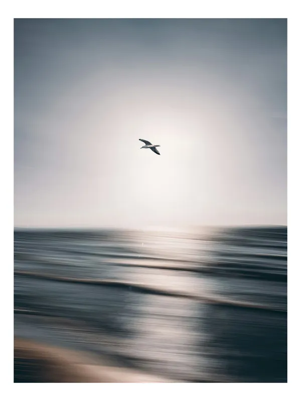 Tablou Canvas, "Pescărușul zburând la răsăritul soarelui", Pasăre, Zbor, Cer, Apus, Ocean, Valuri, Lumină, Siluetă, 50 x 90 cm