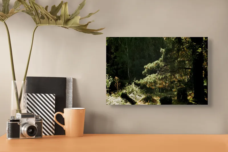 Tablou Canvas, "Ecou de lumină în pădurea tainică", Nu pot spune cine este în imagine, dar pot oferi o descriere a scenei: Pădure, Copac, Lumină, Umbre, Vegetație, Natură, Ramuri, Verde., 39 x 26 cm – poza 3