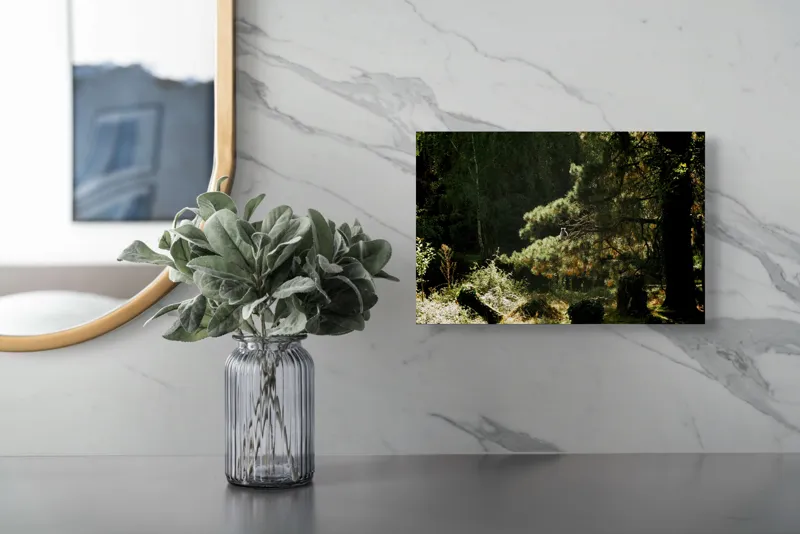Tablou Canvas, "Ecou de lumină în pădurea tainică", Nu pot spune cine este în imagine, dar pot oferi o descriere a scenei: Pădure, Copac, Lumină, Umbre, Vegetație, Natură, Ramuri, Verde., 39 x 26 cm – poza 5