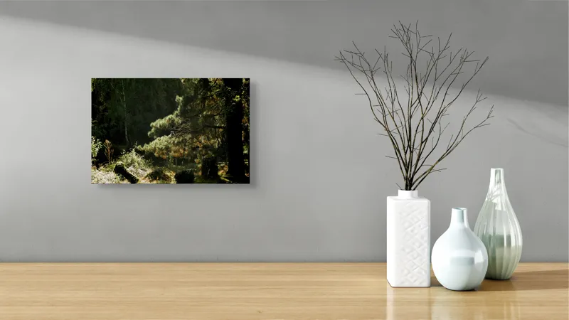 Tablou Canvas, "Ecou de lumină în pădurea tainică", Nu pot spune cine este în imagine, dar pot oferi o descriere a scenei: Pădure, Copac, Lumină, Umbre, Vegetație, Natură, Ramuri, Verde., 39 x 26 cm – poza 8