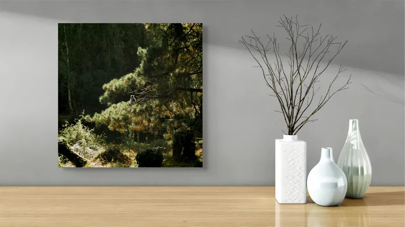 Tablou Canvas, "Ecou de lumină în pădurea tainică", 50 x 50 cm – poza 3