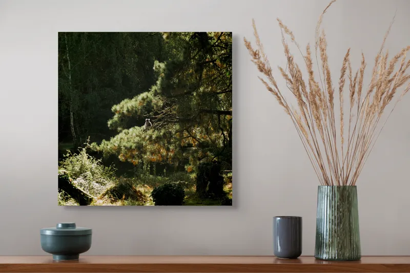 Tablou Canvas, "Ecou de lumină în pădurea tainică", 50 x 50 cm – poza 4