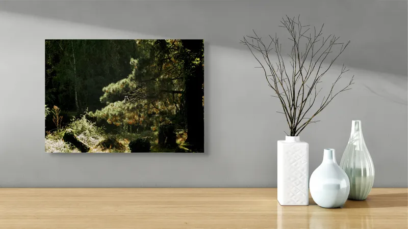 Tablou Canvas, "Ecou de lumină în pădurea tainică", 54 x 39 cm – poza 3