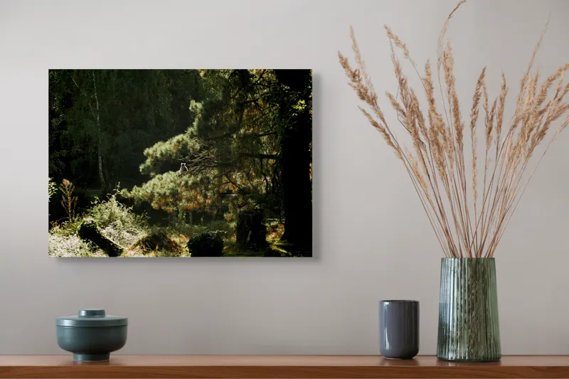 Tablou Canvas, "Ecou de lumină în pădurea tainică", 54 x 39 cm – poza 4