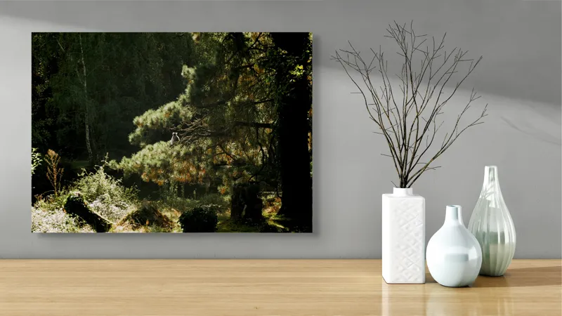 Tablou Canvas, "Ecou de lumină în pădurea tainică", 70 x 50 cm – poza 3