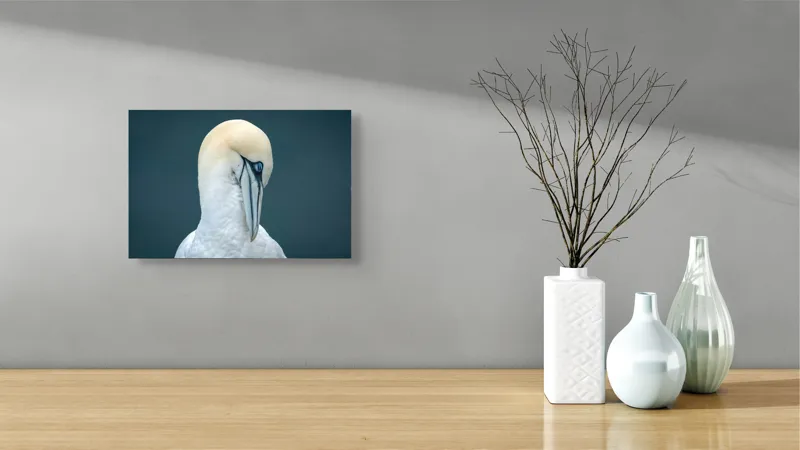 Tablou Canvas, "Privirea misterioasă a pasării albe", Alb, Elegant, Grațios, Impunător, Sobru, Calm, Majestuos, 39 x 26 cm – poza 8